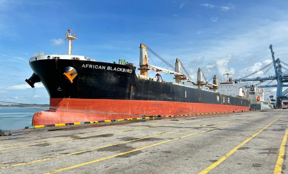 MV African Blackbird